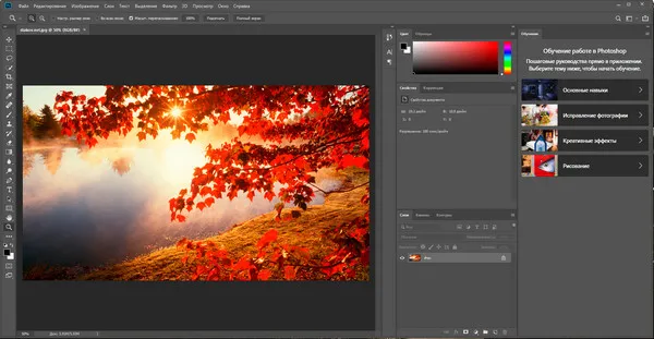 Adobe Photoshop CC 2019 – Phần mềm chỉnh sửa đồ họa