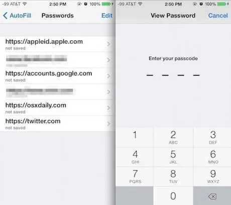Cách xem mật khẩu đã lưu trong trình duyệt Safari trên iPhone/ iPad/ Macbook