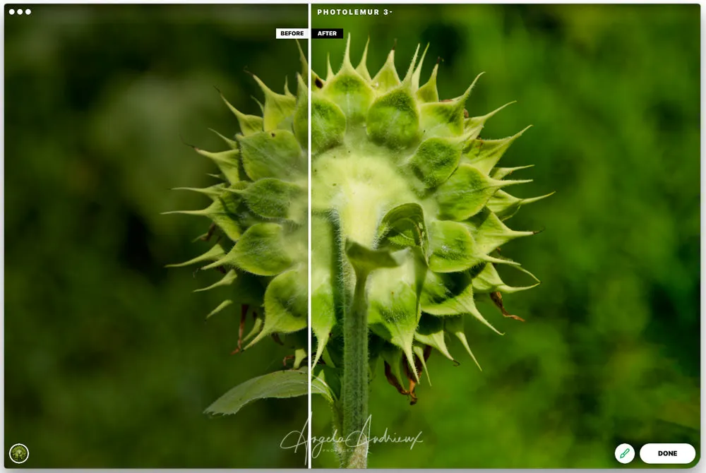 Photolemur 3 1.0.0.2146 – Chỉnh sửa ảnh và nâng cao chất lượng hình ảnh