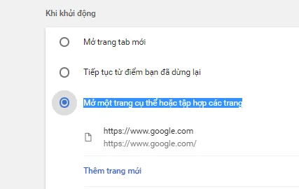 Thay đổi Trang chủ và Trang khởi động trong Google Chrome